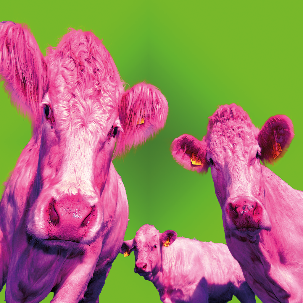 image de Photoshop - Festival de couleur